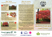 Autumn-fruit-and-leaf-colour.pdf